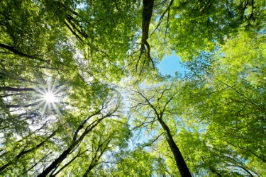 Gemeinsam Krise bewältigen